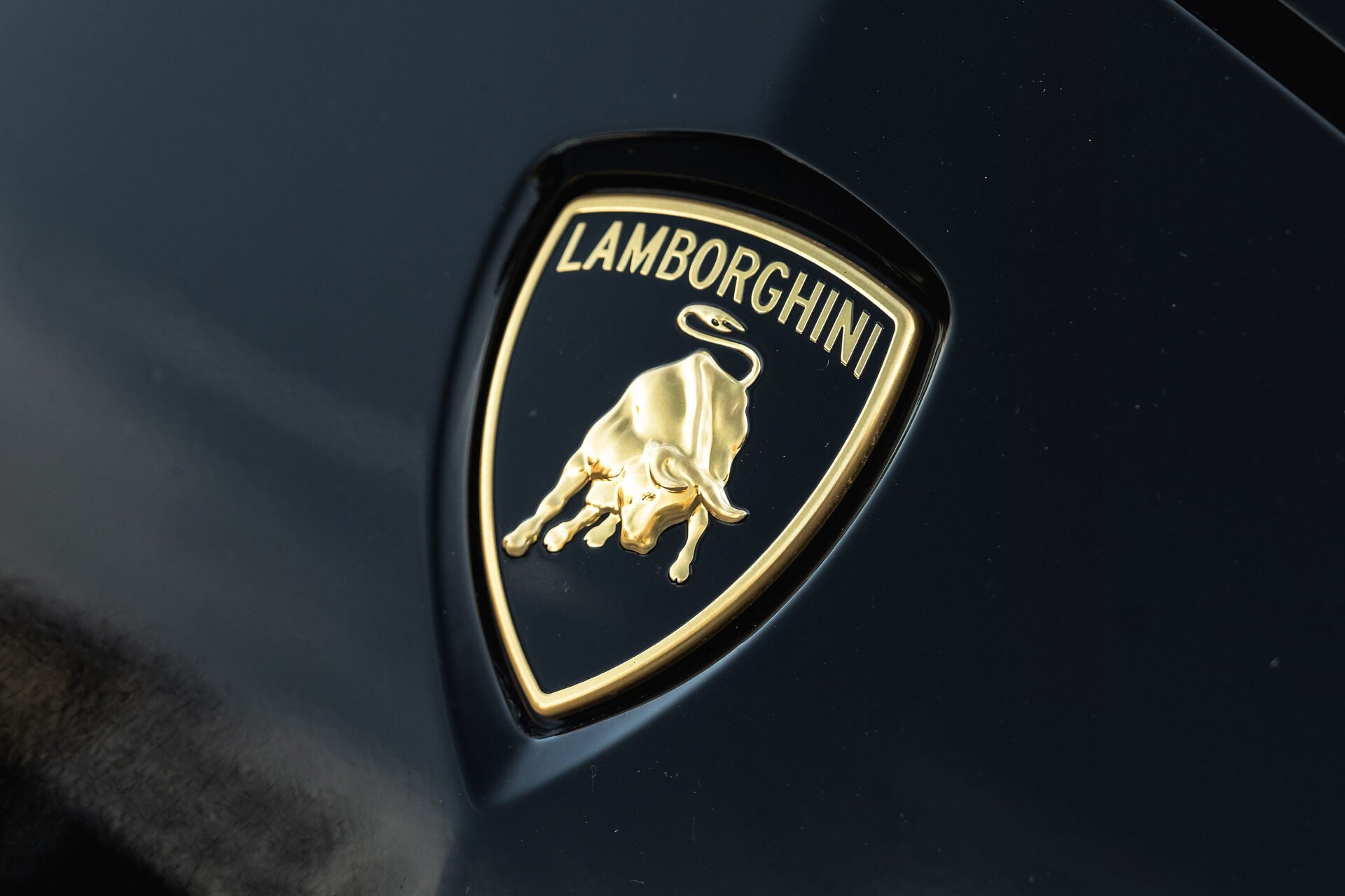 Lamborghini Urus V8 Gallery Image