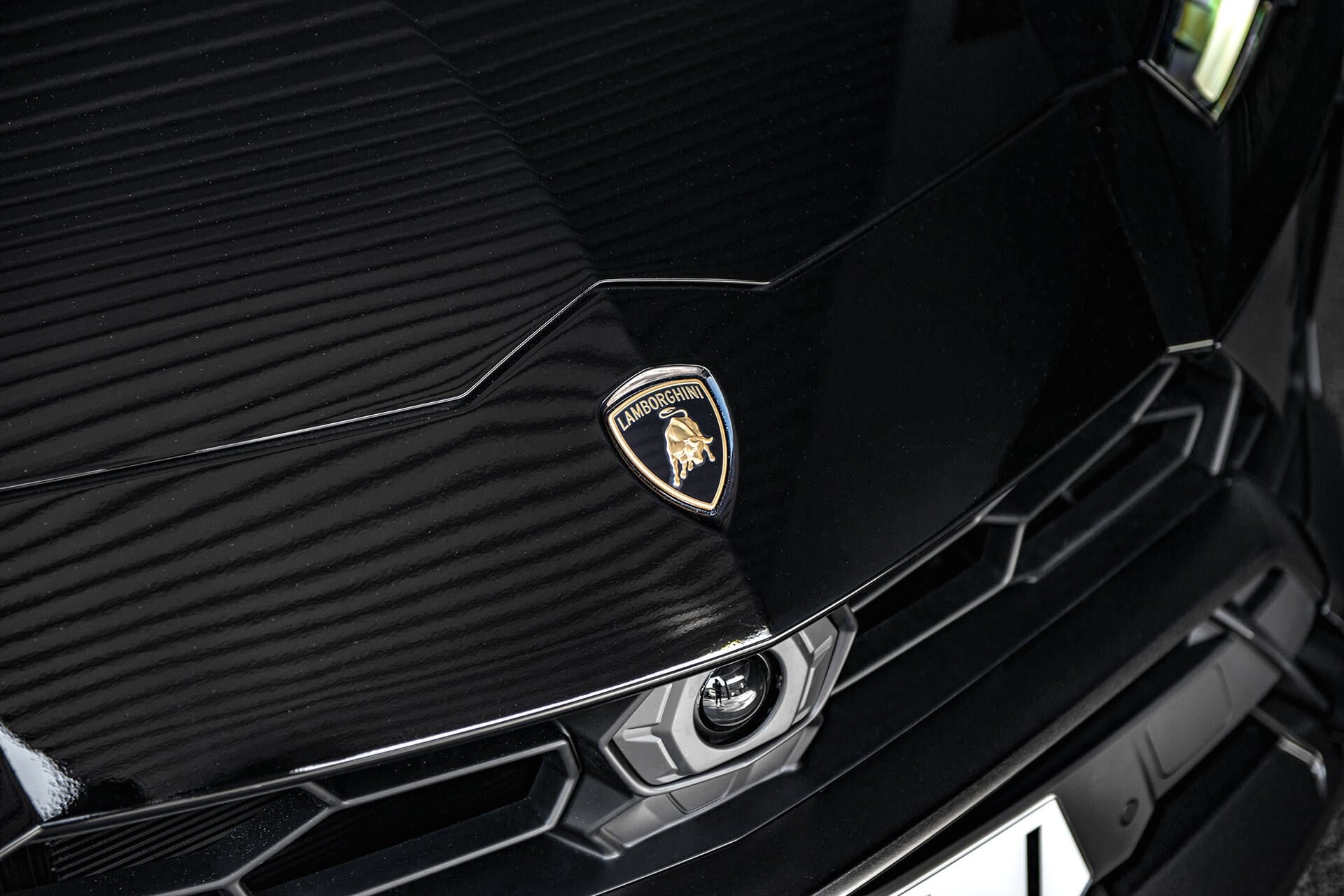 Lamborghini Urus V8 Gallery Image