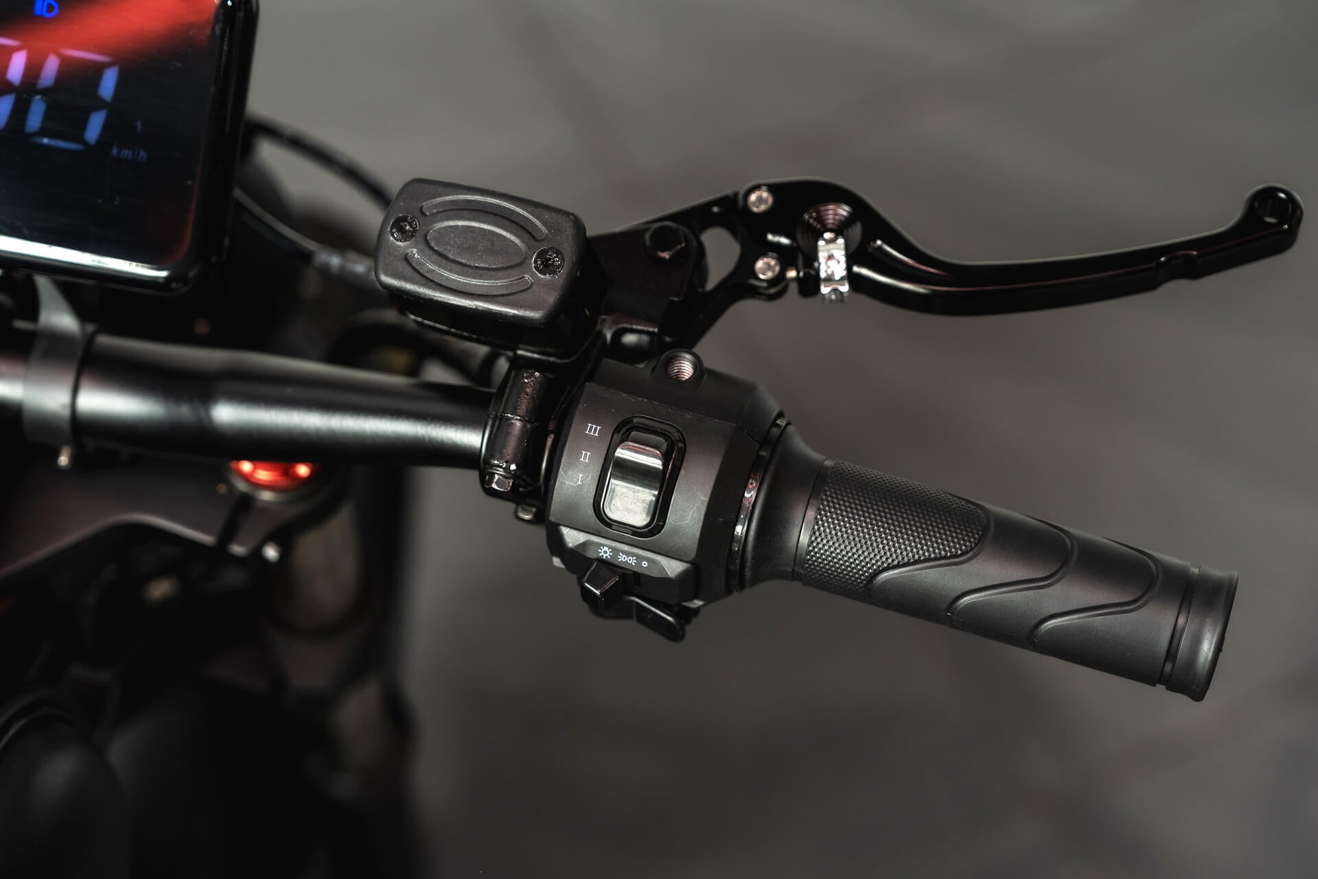 Wulf 3000 Electric Bike